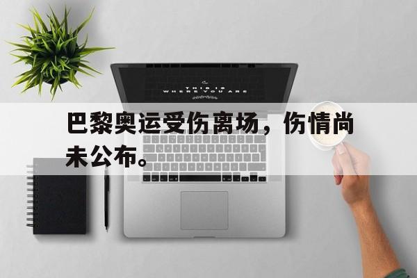 开云综合app登录入口-巴黎奥运受伤离场，伤情尚未公布。