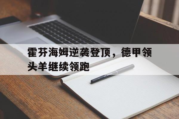 霍芬海姆逆袭登顶，德甲领头羊继续领跑